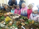 Wycieczka na wystawę grzybów