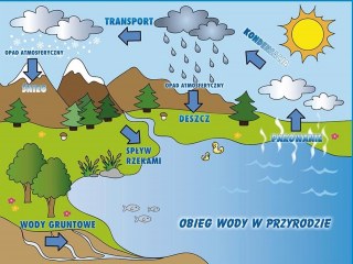 Wisienki poznają obieg wody w przyrodzie