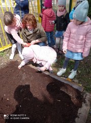 Jagódki sadzą warzywa w ogródku przedszkolnym