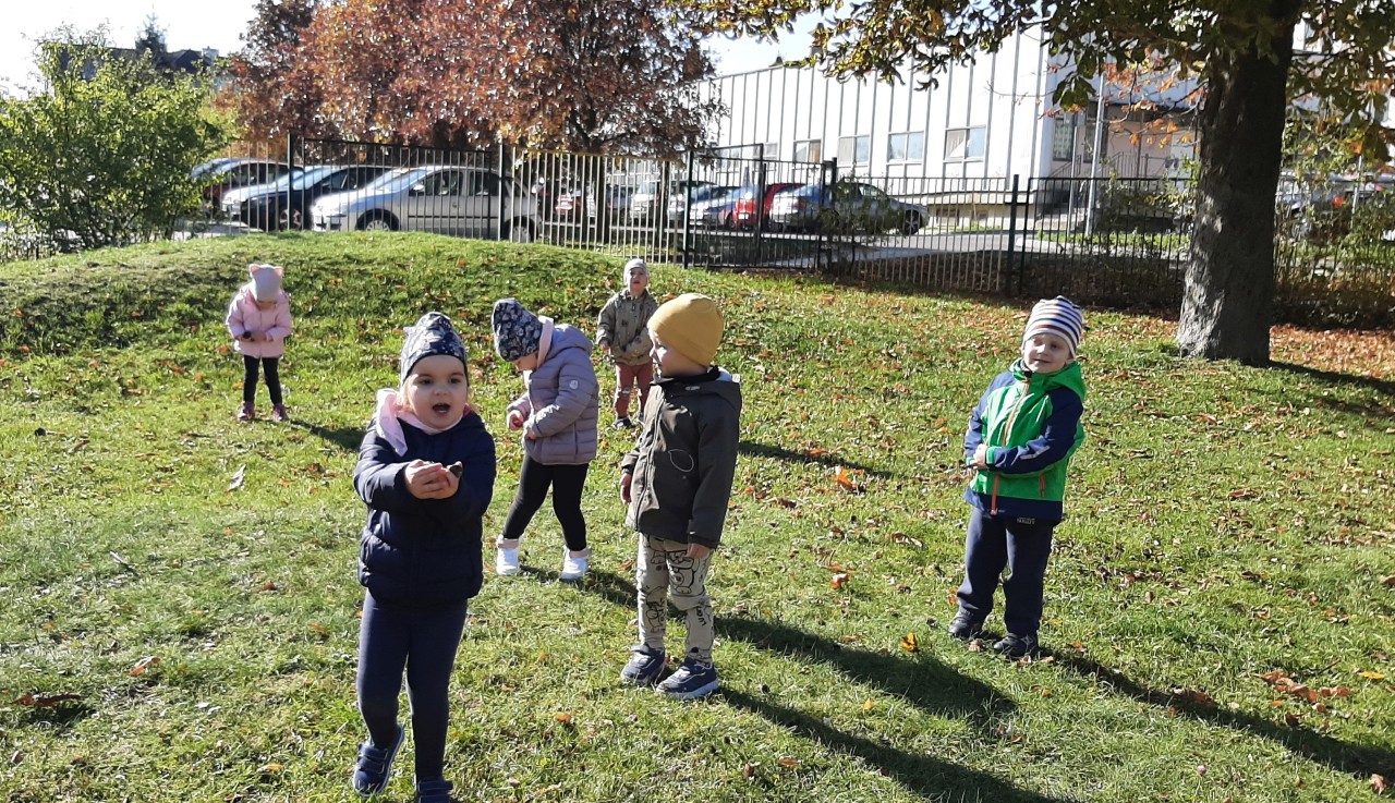 Galeria - Mali Odkrywcy poszukują jesieni w ogrodzie przedszkolnym