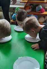 Dzień Kota w grupie Małych odkrywców