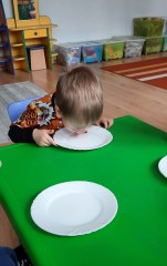 Dzień Kota w grupie Małych odkrywców