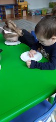 Dzień Kota w grupie Małych odkrywców