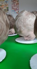Dzień Kota w grupie Małych odkrywców
