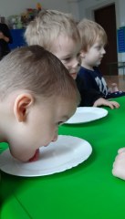 Dzień Kota w grupie Małych odkrywców
