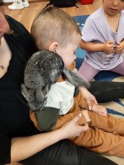 DZIECI Z PRZEDSZKOLA UCZESTNIKAMI WIOSENYCH WARSZTATÓW ZOOLOGICZNYCH
