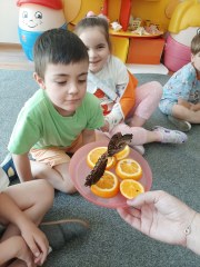 ‘MOTYLEM JESTEM....’ WARSZTATY PRZYRODNICZE W GRUPIE MAŁYCH ODKRYWCÓW
