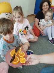 ‘MOTYLEM JESTEM....’ WARSZTATY PRZYRODNICZE W GRUPIE MAŁYCH ODKRYWCÓW