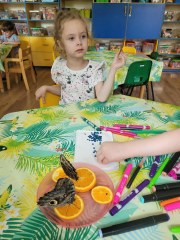‘MOTYLEM JESTEM....’ WARSZTATY PRZYRODNICZE W GRUPIE MAŁYCH ODKRYWCÓW